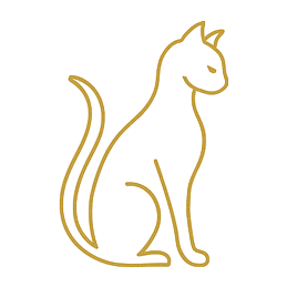MD Digital logo